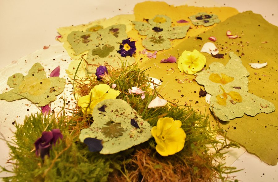 Nahaufnahme gelber Blumen und in gelbem Büttenpapier gefassten Blumensamen